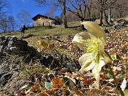 02 Alla bella radura della Baita del Carlo (1300 m) breve tregua poi la salita continua ripida 